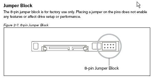 velociraptor_jumpers.jpg