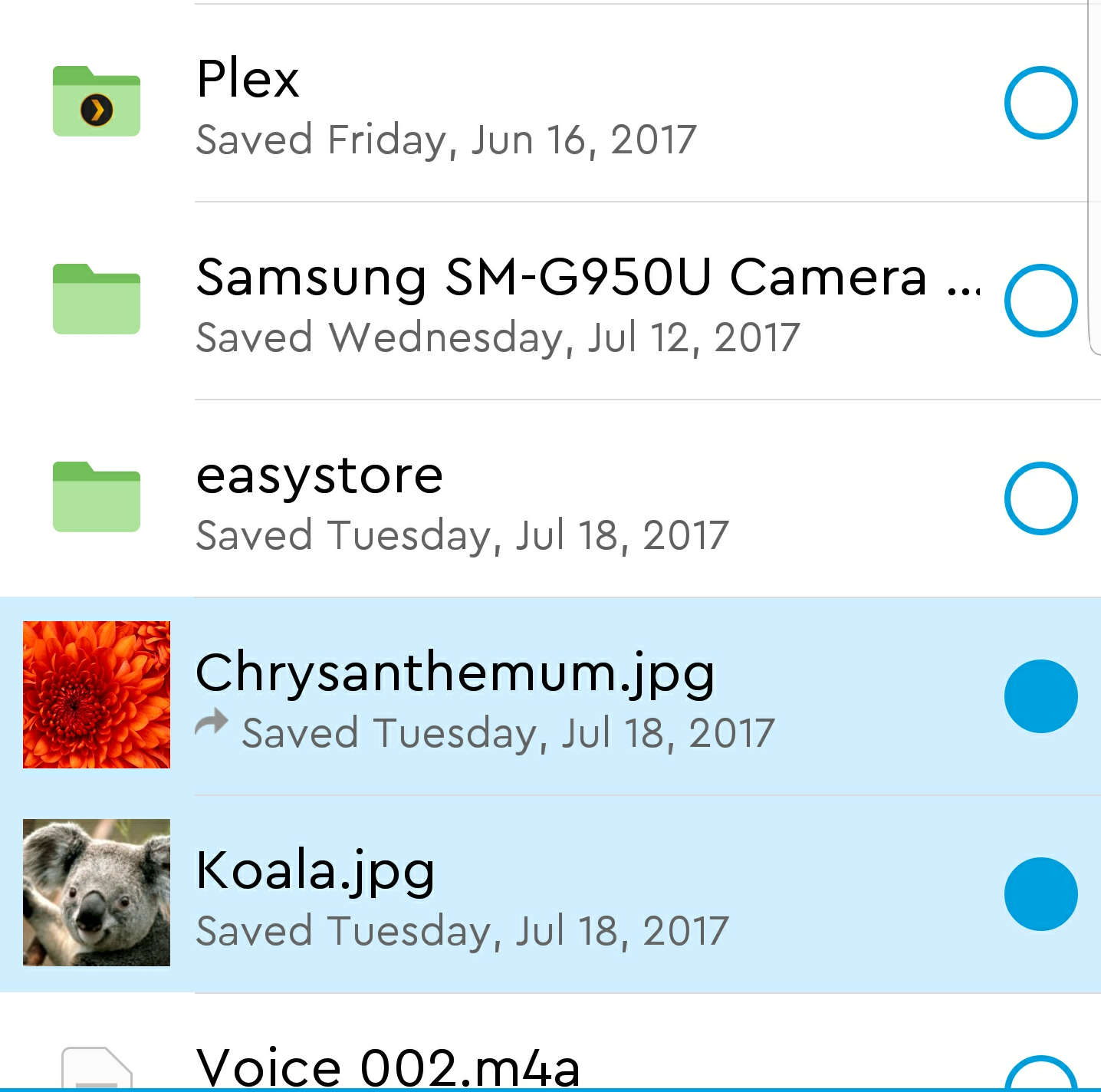 Image