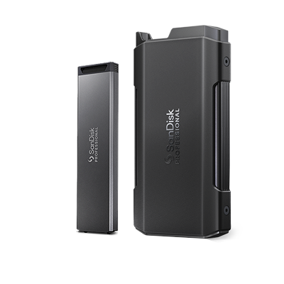 SanDisk Professional 外付け ハードディスクドライブ SDPH51J-020T-NBAAD SanDisk Professional 4TB 外付けHDD : SanDisk