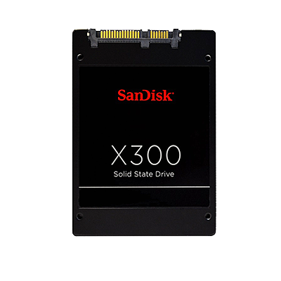 SD7SB6S-256G-1022 | 西部数据产品支持