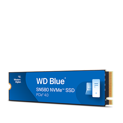 WD WDS500G2B0C  Western Digital WD Blue SN550 NVMe M.2 500 Go PCI Express  3.0 3D NAND